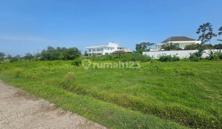 For Sale Freehold Land Kedungu Beach Tabanan Negotiable Price  2