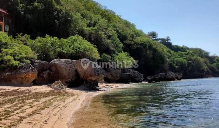 Dijual Tanah Los Tebing Padang Padang Pecatu Harga Murah 2