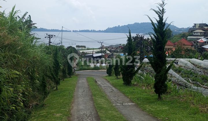 Land for Sale in Bedugul Bali 200 Meters from Lake Full View Land for Sale in Bedugul Bali 200 Meters from Lake Full View