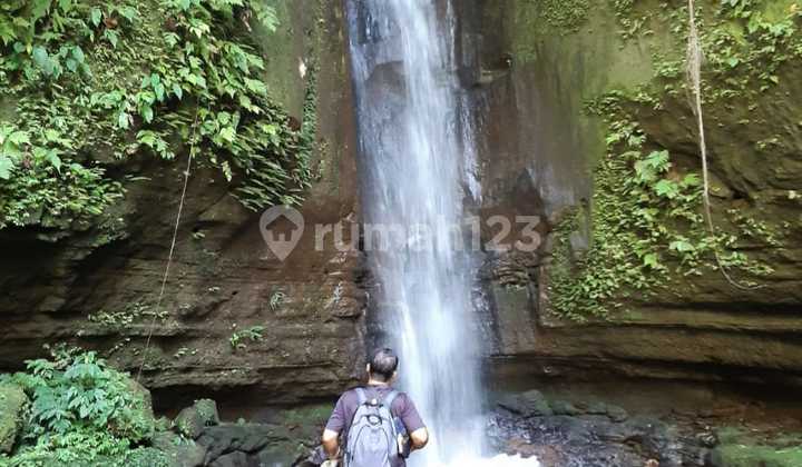 For Sale Coffee Plantation with Natural Spring Waterfall in Kintamani Catur, Bali