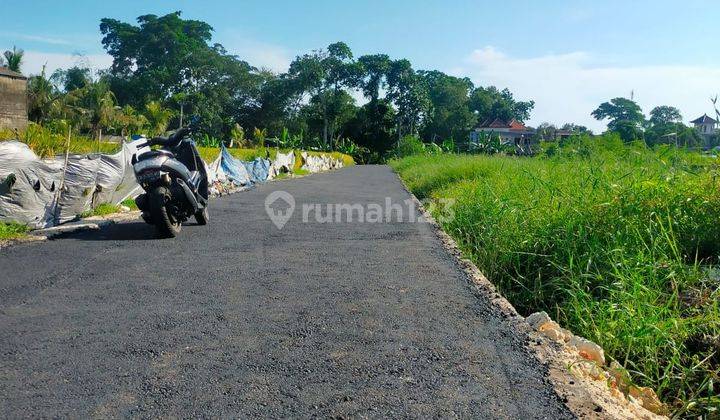 Dijual Tanah Murah Dekat Pantai Kedungu Tabanan Bali Harga Nego 2