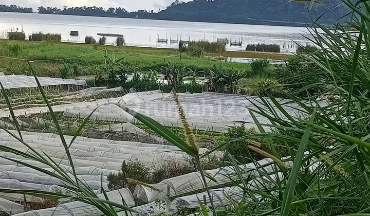 For Sale Premium Land Los Danau Beratan Bedugul Negotiable Price For Sale Premium Land Los Danau Beratan Bedugul Negotiable Price