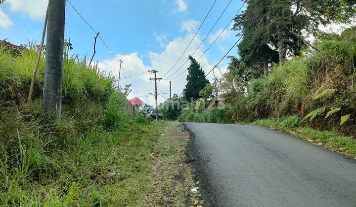 For Sale Cheap Land In Munduk Buleleng Bali Full View 2