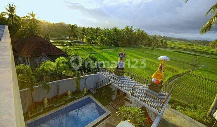 Dijual Villa Murah Mas Ubud View Sawah Ful Furnis Harga Nego Dijual Villa Murah Mas Ubud View Sawah Ful Furnis Harga Nego