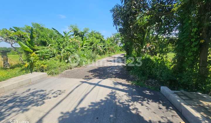 Dijual Tanah Premium Nyanyi Beach Tabanan Dekat Nu Anu