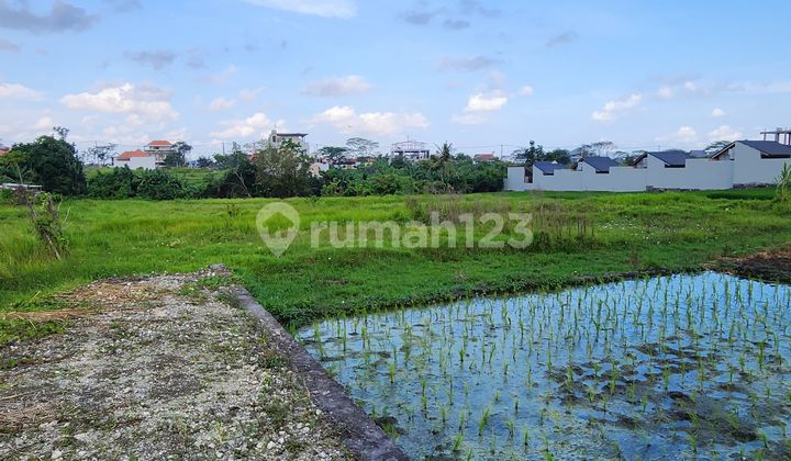Dijual Tanah Murah Seseh Beach Jalan Kaki Ke Pantai