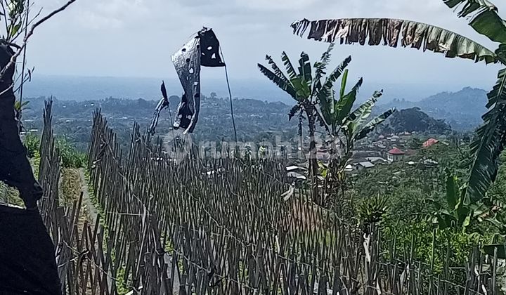 For Sale Cheap Land Bedugul Tabanan Price Negotiable For Sale Cheap Land Bedugul Tabanan Price Negotiable