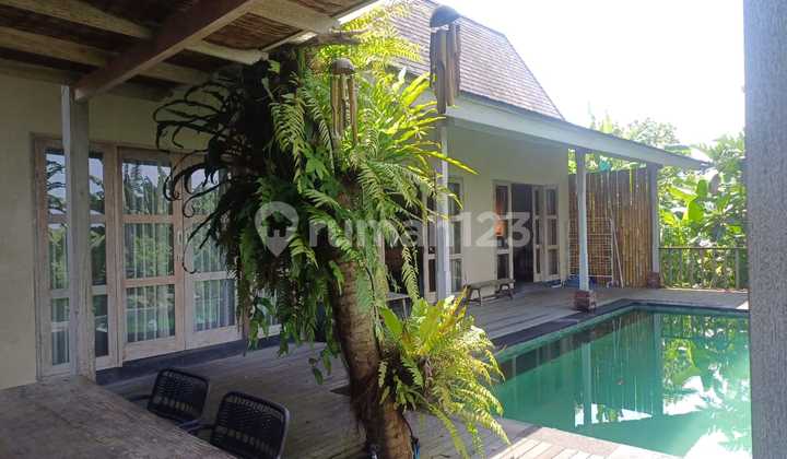 For Sale: Affordable Beach Villa in Purnama Gianyar Bali, Negotiable Price