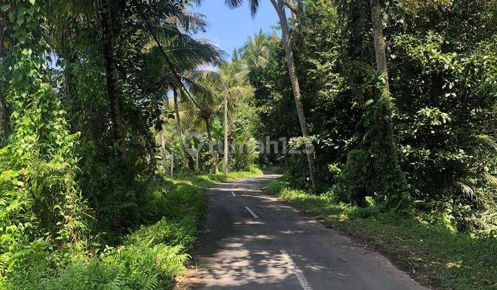 For Sale Cheap Land Ubud Pejeng Price Negotiable Suitable for Villa 2