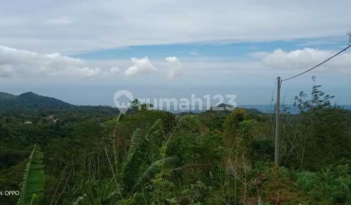 Affordable Land for Sale in Wanagiri Munduk with a Natural Spring