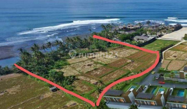 Dijual Tanah Los Pantai Ketewel Gianyar Bali Harga Nego 1