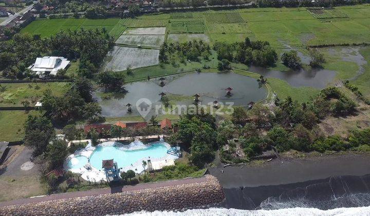 Land for Sale Los Pantai Jembrana Negare Bali Suitable for Resort 1