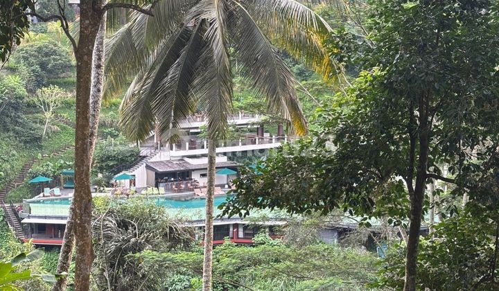 For Sale Land Ubud Keliki Good View Negotiable Price For Sale Land Ubud Keliki Good View Negotiable Price