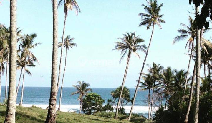 For Sale Beachfront Land Balian Beach Tabanan Bali Negotiable 1