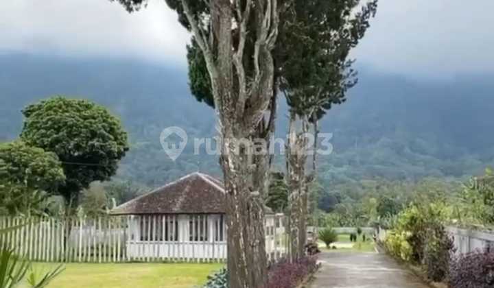 For Sale Cheap Land in Elite Bedugul Area Full View Negotiable Price For Sale Cheap Land in Elite Bedugul Area Full View Negotiable Price