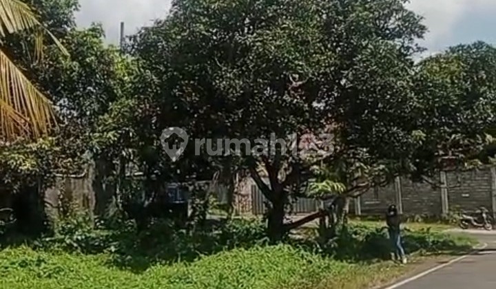 Dijual Tanah Gatsu Barat Cocok Gudang Harga Bisa Nego