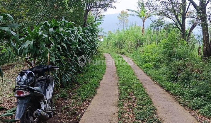 For Sale Premiun Land Munduk Buleleng Bali Negotiable Price 2