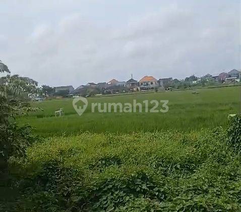 Dijual Tanah Premium Renon Tukad Balian Harga Negi 2