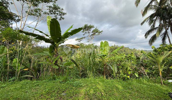 Dijual Tanah Murah Payangan Ubud Harga Bisa Nego 1