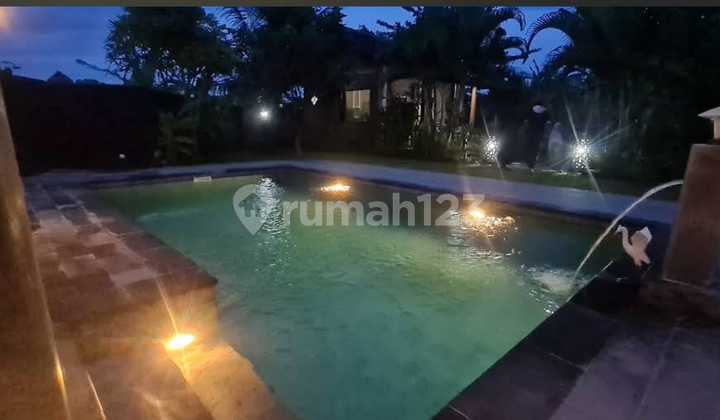 Dijual Villa Murah Panyai Siyut Gianyar Harga Bisa Nego Dijual Villa Murah Panyai Siyut Gianyar Harga Bisa Nego