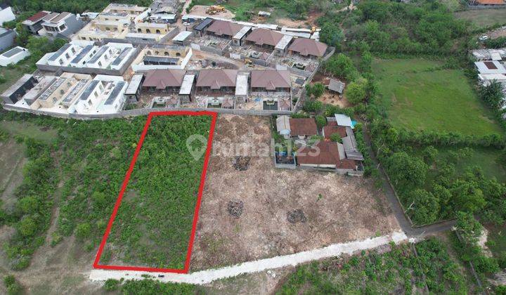 Dijual Tanah Murah Ungasan Jimbaran Bali Harga Negotiable  1