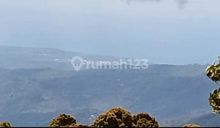 For Sale Cheap Land Munduk Buleleng Amazing View 2