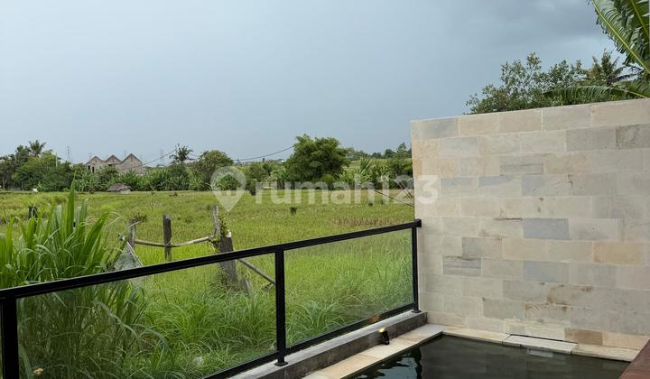 Dijual Vila Baru Cepaka Munggu View Sawah Ful Furnis Harga Nego