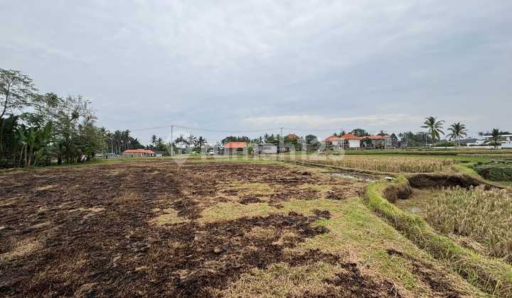 For Sale Land Ubud Pejeng View Sawah Harga Nego 2