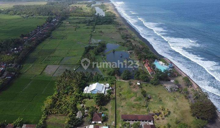 Dijual Tanah Los Pantai Jembrana Negare Bali Cocok Resort  2