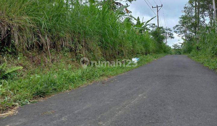 For Sale Land Ubud Tegalalang Negotiable Price Full View 1