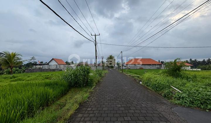 Dijual Tanah Central Ubud Cocok untuk Vila Harga Nego