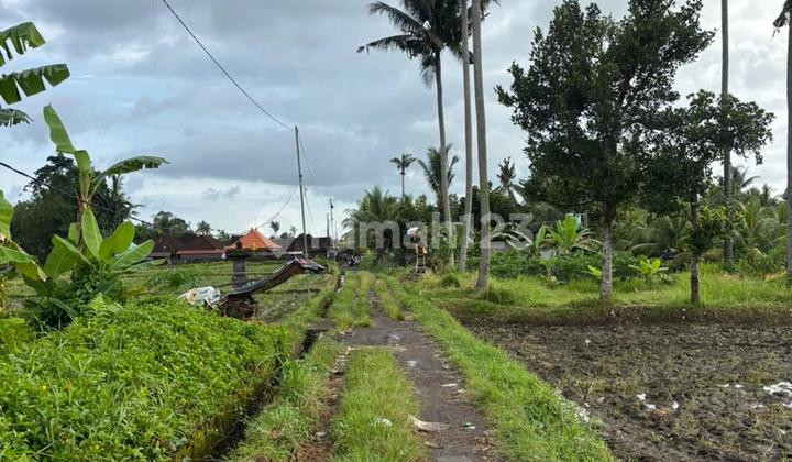 Dijual Tanah Murah Pejeng Ubud Gianyar Harga Bisa Nego