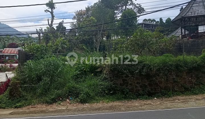 Dijual Tanah Murah Jln Utama Bedugul Tabanan Harga Nego