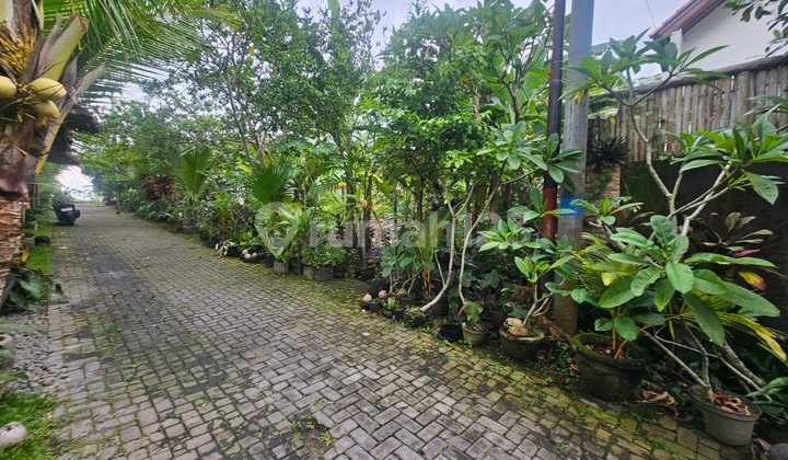 For Sale Land Padonan Tibubeneng Canggu Villa Area Negotiable Price