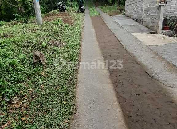 Dijual Tanah Munduk Buleleng Harga Murah Bisa Nego