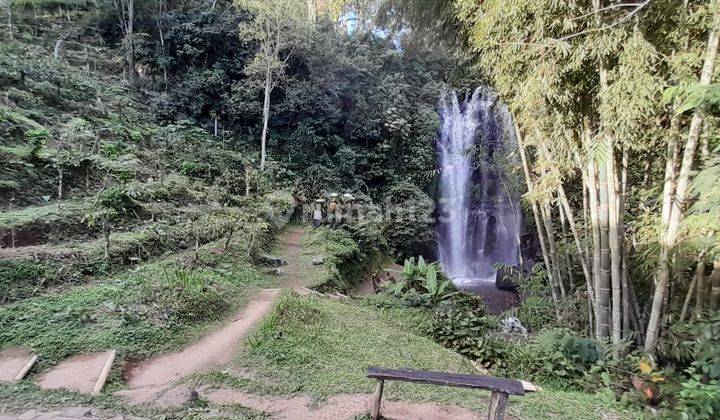 Dijual Tanah View Waterfall Munduk Bali Ada Mata Air Juga 2