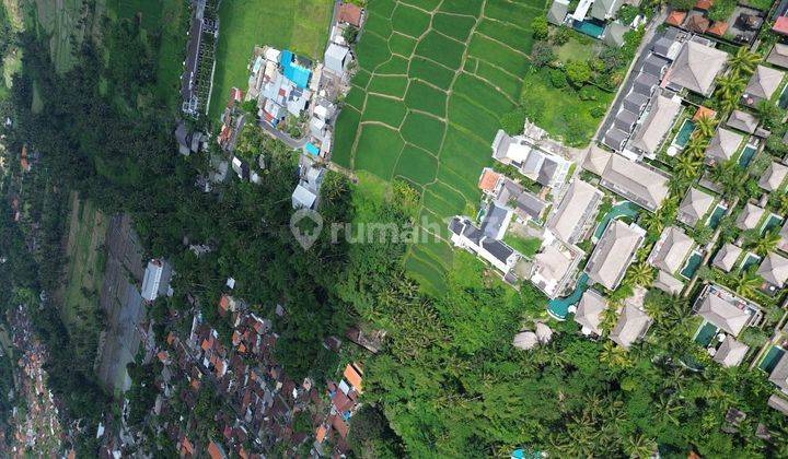 Land for Sale Lodtunduh Ubud Bali View Rice Fields Price Negotiable 2