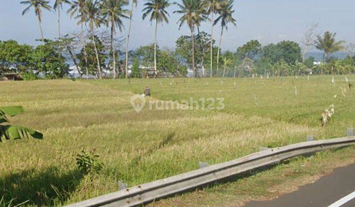 Dijual Tanah Los Pantai Jalan Utama Raya Gilimanuk Denpasar  1