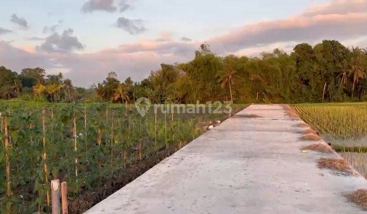 Dijual Tanah Komersil Kedungu Tabanan Dekat Pantai Kedungu 1