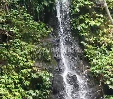 Dijual Tanah Premium Munduk Bali Harga Nego 1
