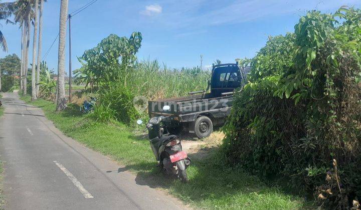 For Sale Freehold Land Ubud Sakah Sukawati Negotiable Price  1