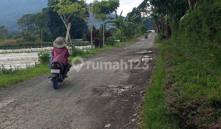 Land for Sale at Los Danau Beratan Bedugul, Affordable Price, Negotiable. Land for Sale at Los Danau Beratan Bedugul, Affordable Price, Negotiable.