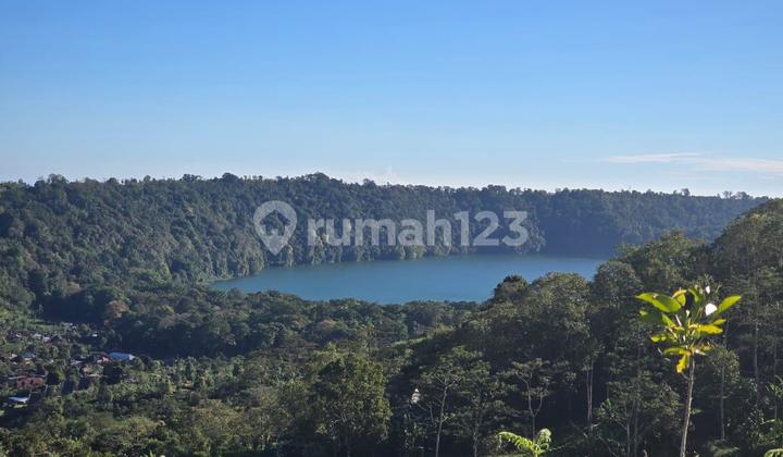 Dijual Murah Tanah Munduk Buleleng Full View Danau Laut 