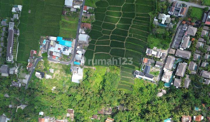 Land for Sale Lodtunduh Ubud Bali View Rice Fields Price Negotiable 1