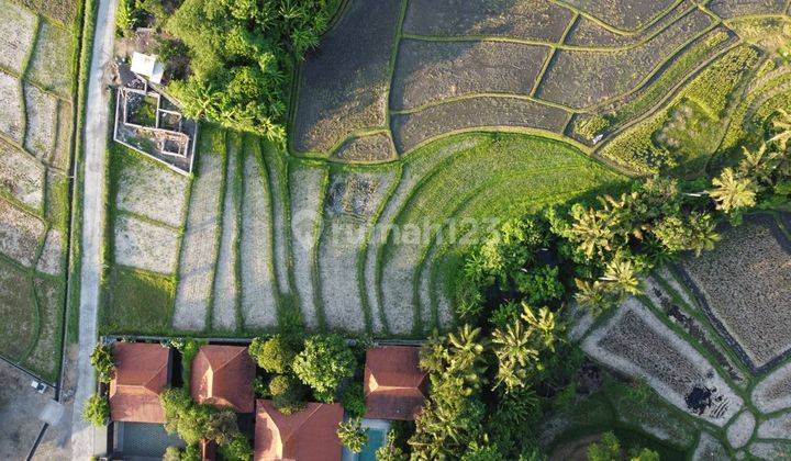 For Sale Freehold Land Kedungu Tabanan Bali Negotiable  2