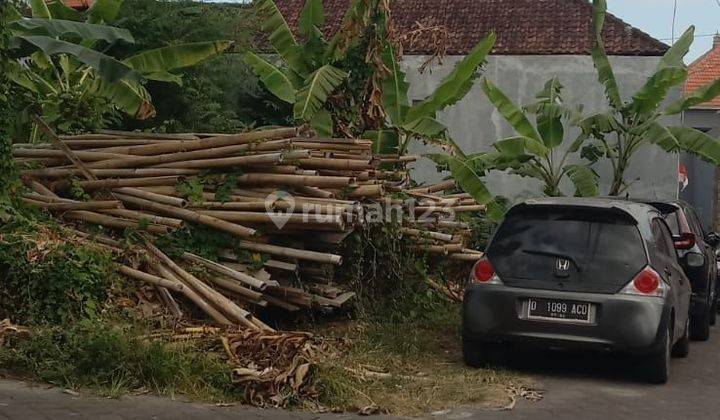 Dijual Tanah Murah Padonanan Canggu Utara Harga Nego Cocok Villa 2