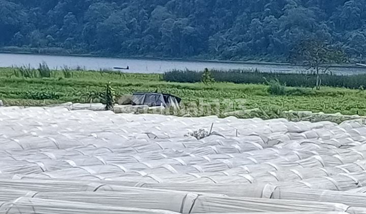 For Sale Lake Buyan Pancasari Plot Land Negotiable Price