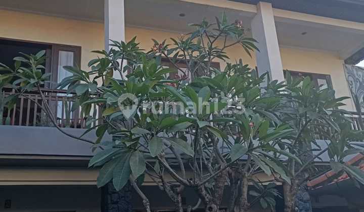 For Sale Cheap Guest House Sanur Denpasar Negotiable Price 2