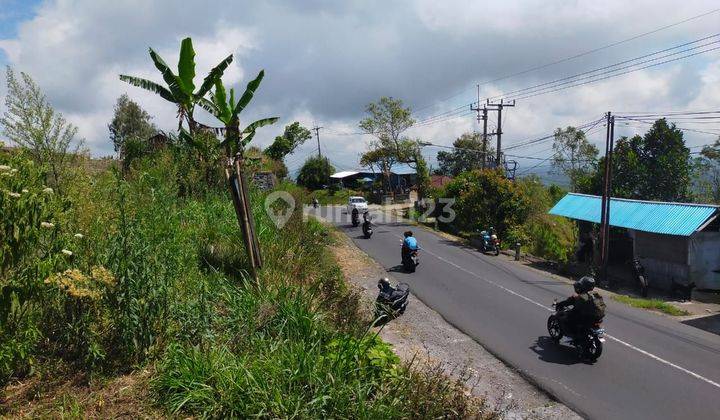 Dijual Tanah Kintamani Batur Jalan Utama Cocok Resto  2