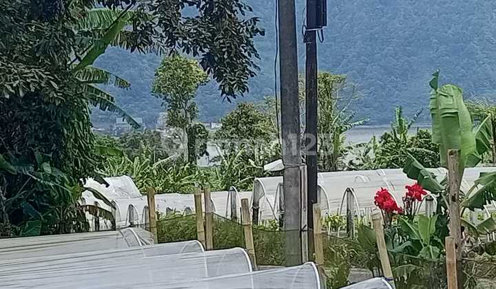 Land for Sale in Bedugul with Lake Beratan View, Price Negotiable